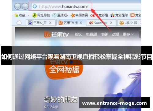 如何通过网络平台观看湖南卫视直播轻松掌握全程精彩节目